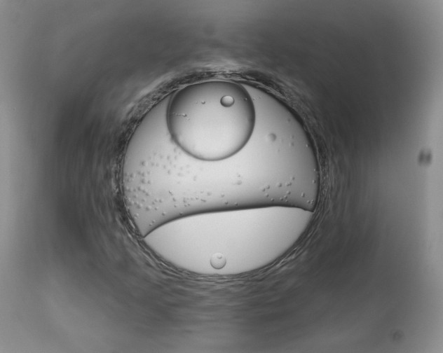 X0000112781205200908201406