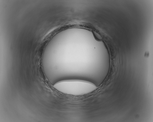 X0000112781206200908201406
