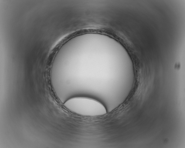 X0000112781208200908201406
