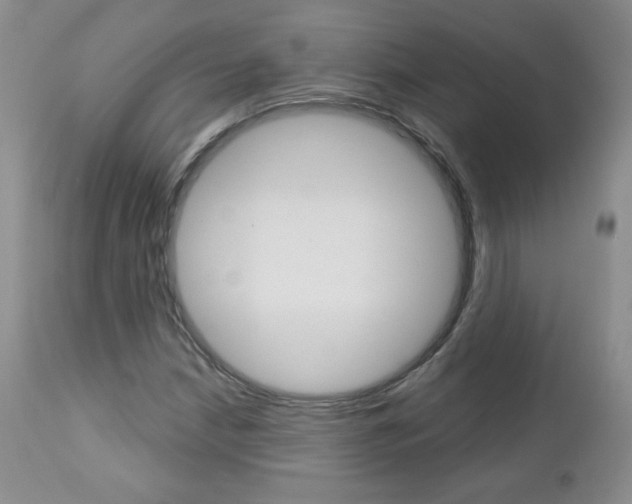 X0000112781210200908201406