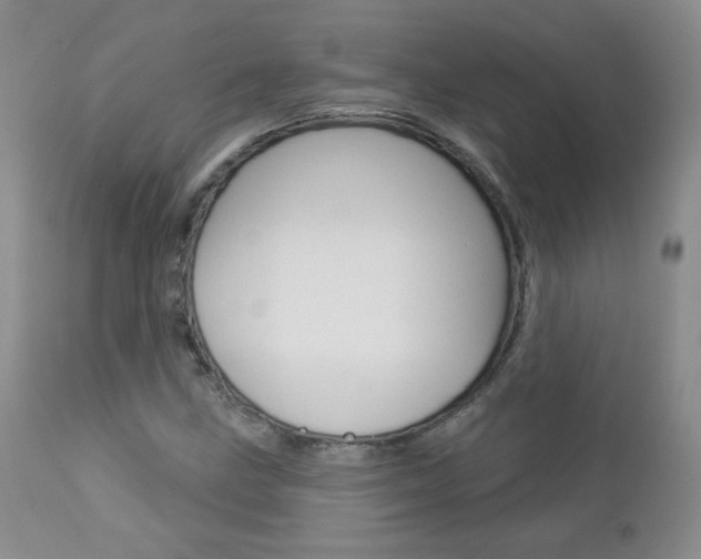 X0000112781211200908201406