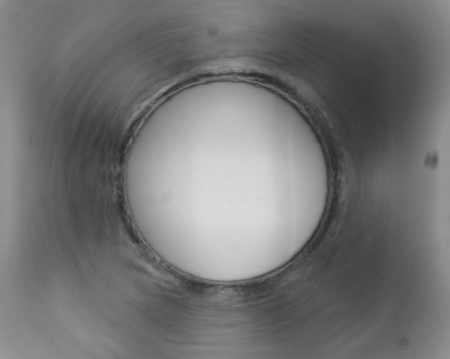 X0000112781217200908201406