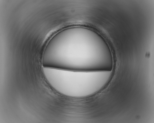 X0000112781218200908201406