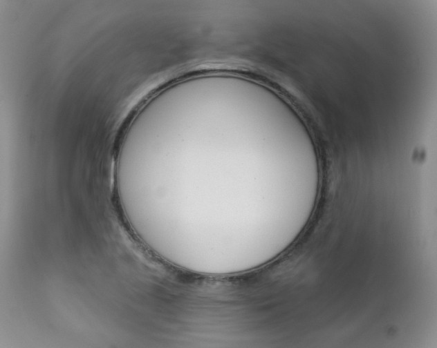 X0000112781221200908201406