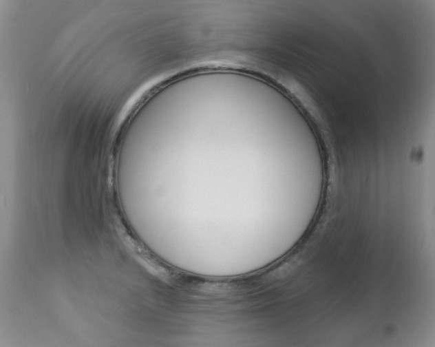 X0000112781232200908201406