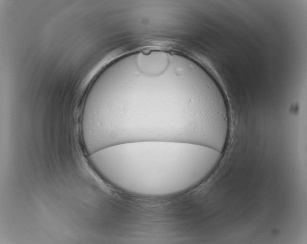 X0000112781235200908201406