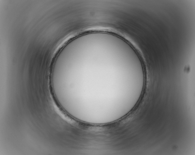 X0000112781237200908201406