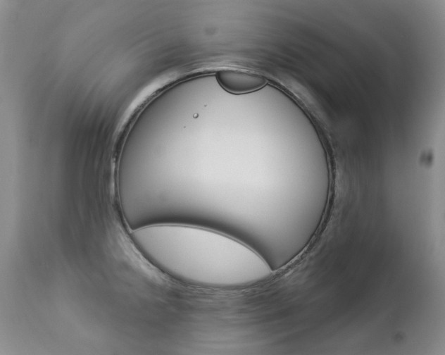 X0000112781238200908201406
