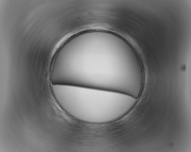 X0000112781240200908201406