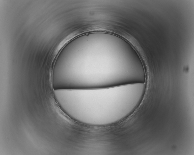X0000112781242200908201406
