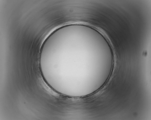 X0000112781244200908201406