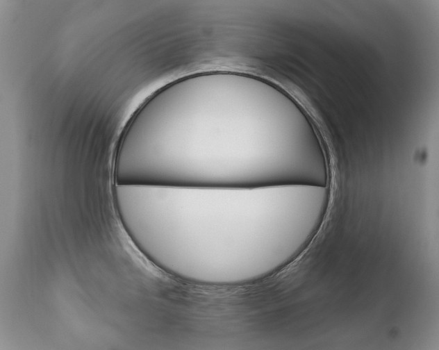 X0000112781246200908201406