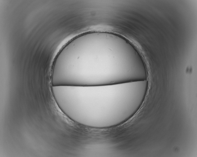 X0000112781248200908201406