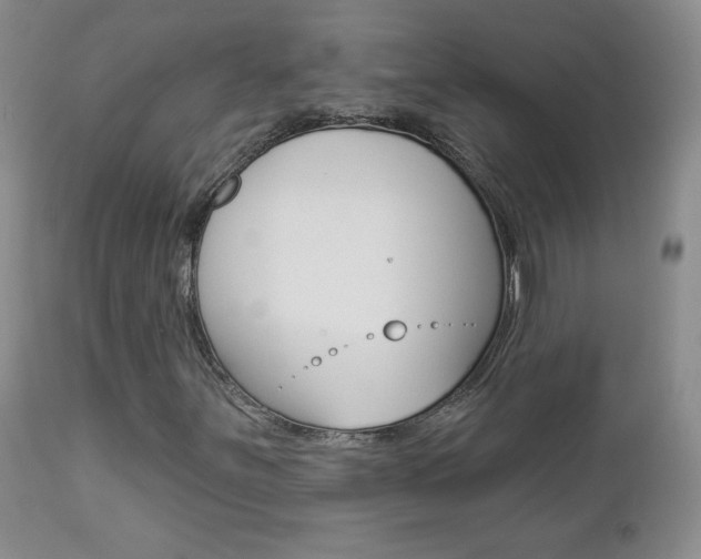 X0000112781251200908201406