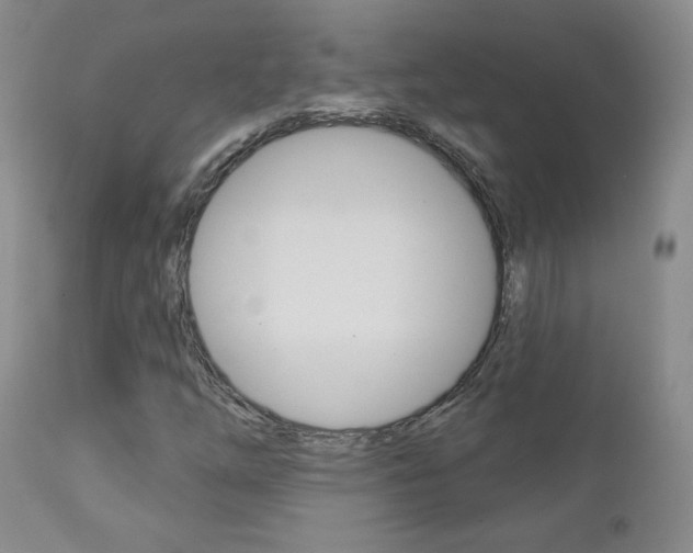 X0000112781254200908201405