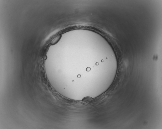 X0000112781255200908201405