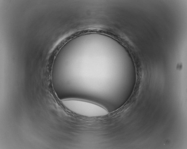 X0000112781256200908201405