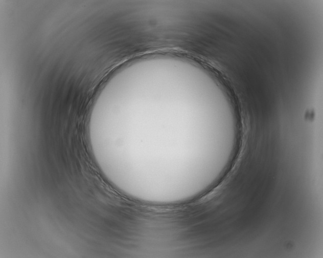 X0000112781257200908201405