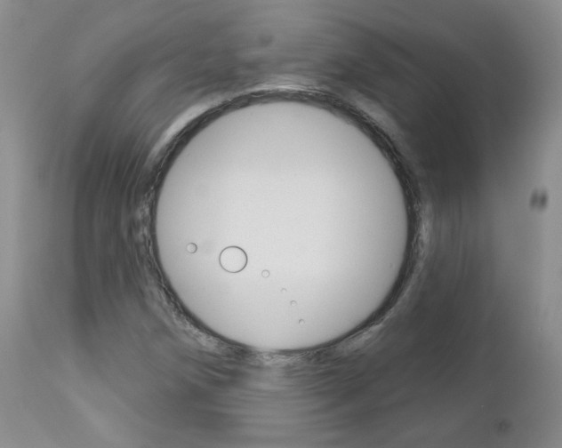 X0000112781258200908201405