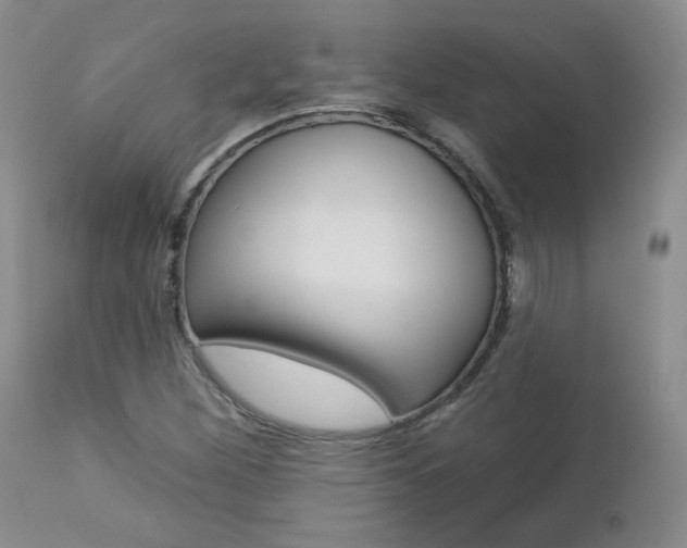 X0000112781260200908201405