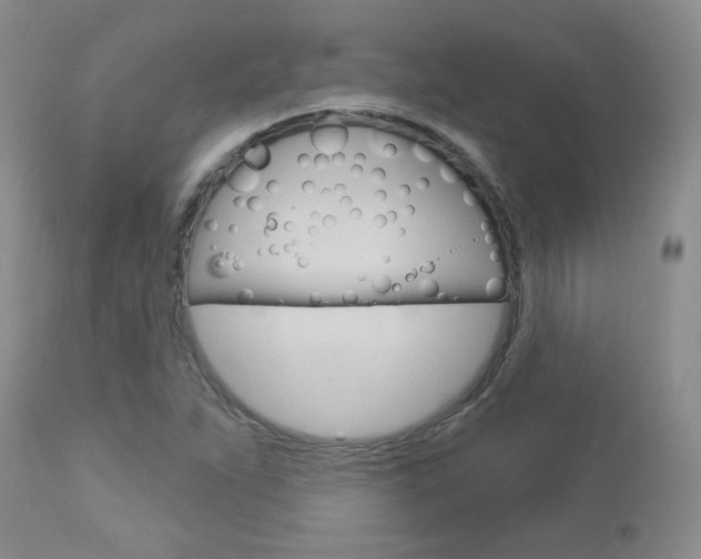 X0000112781263200908201405