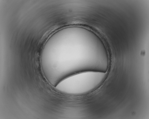 X0000112781265200908201405