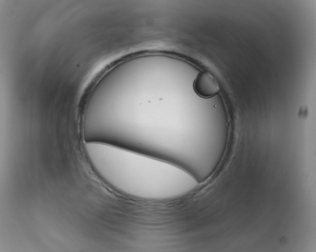 X0000112781270200908201405