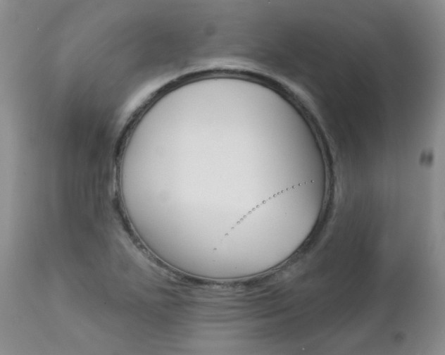 X0000112781271200908201405