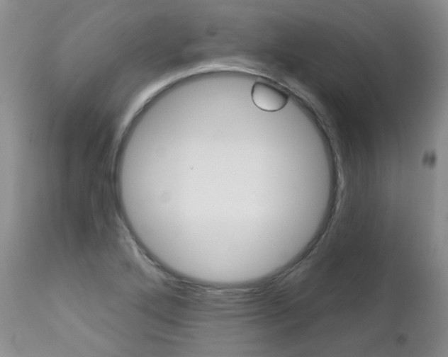 X0000112781272200908201405