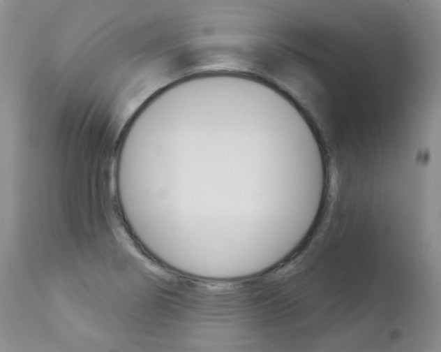 X0000112781274200908201405