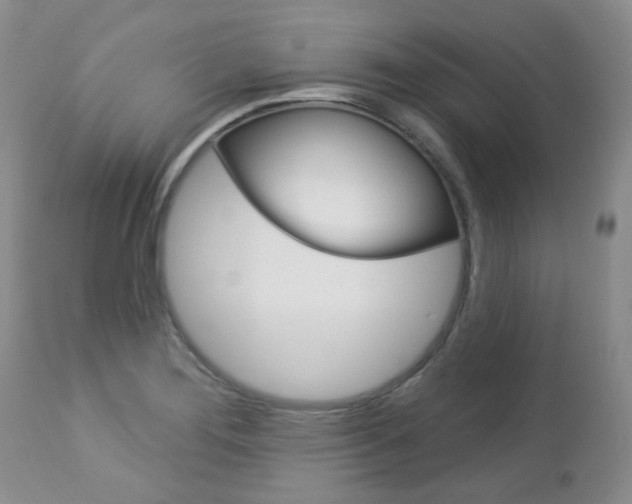 X0000112781276200908201405