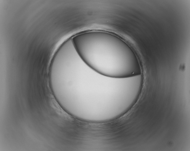 X0000112781280200908201405