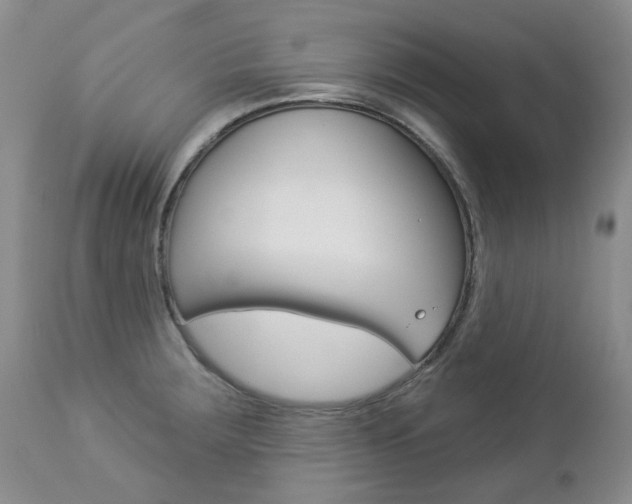 X0000112781283200908201405