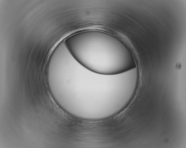 X0000112781284200908201405