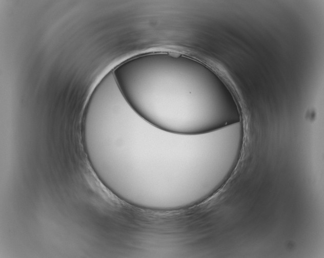 X0000112781292200908201405