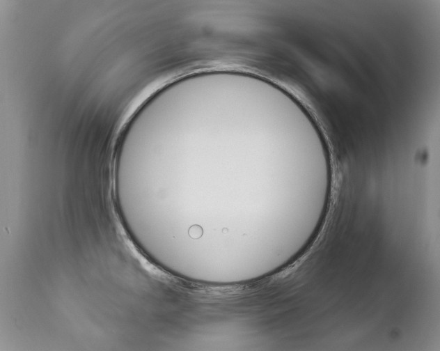 X0000112781294200908201405