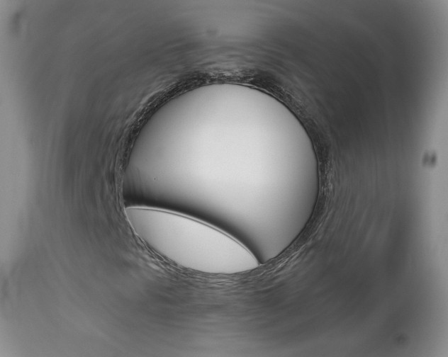 X0000112781297200908201404