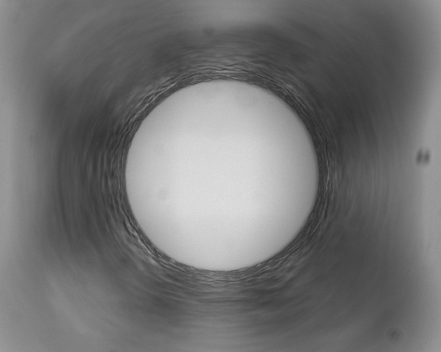 X0000112781298200908201404