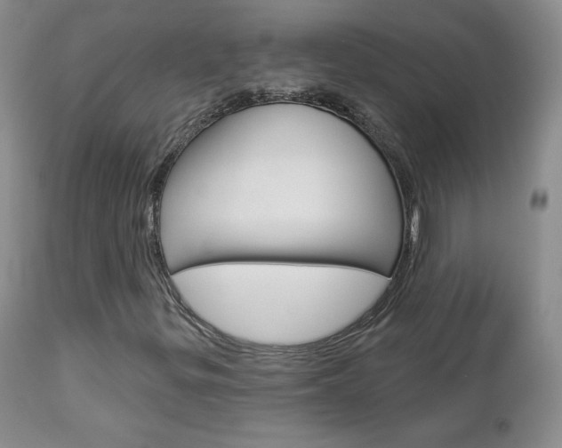 X0000112781299200908201404