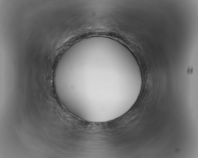 X0000112781301200908201404