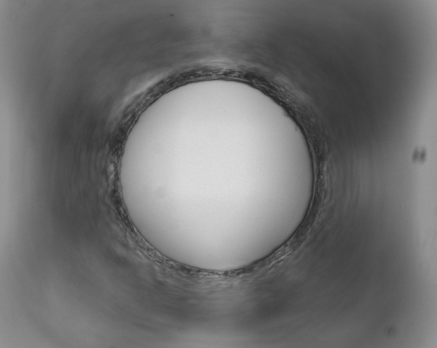 X0000112781302200908201404
