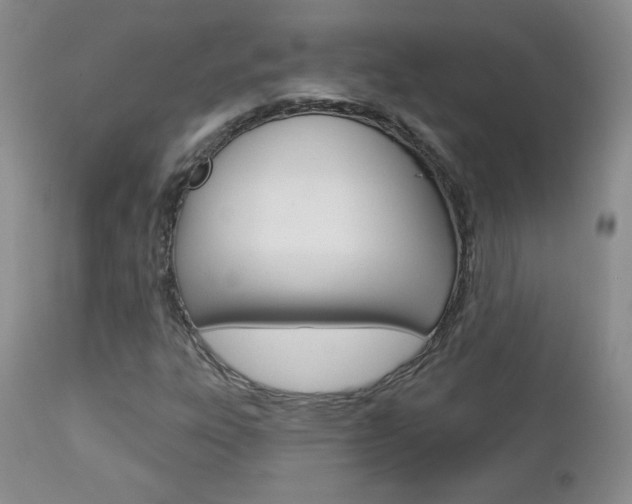 X0000112781303200908201404
