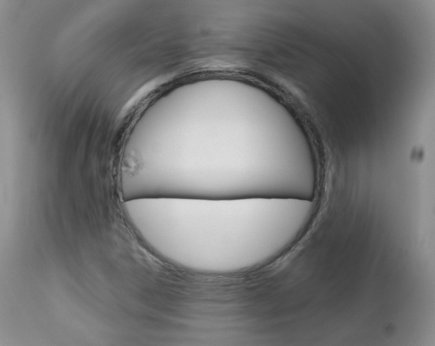 X0000112781306200908201404