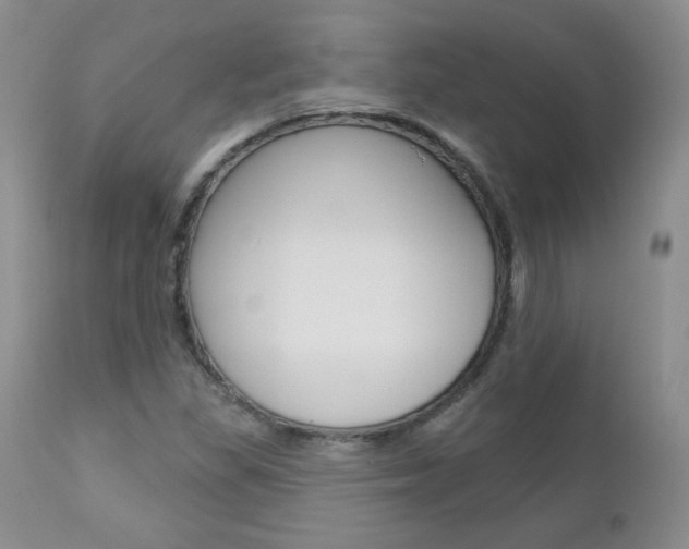 X0000112781309200908201404