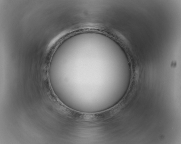 X0000112781310200908201404