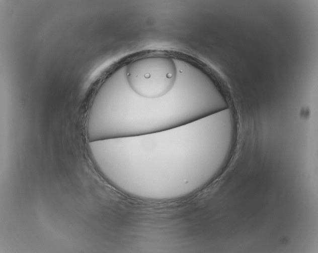 X0000112781311200908201404
