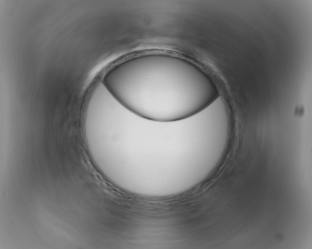 X0000112781312200908201404