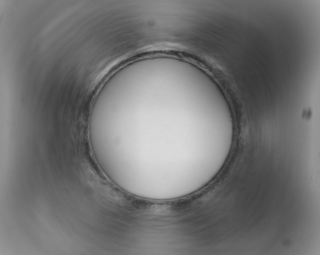 X0000112781313200908201404