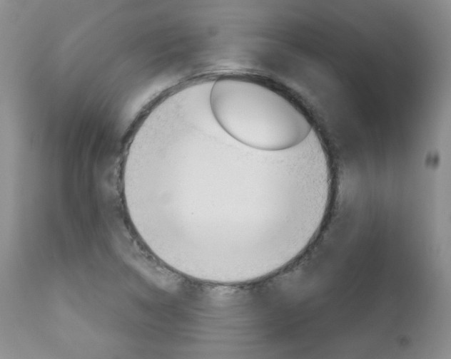 X0000112781314200908201404