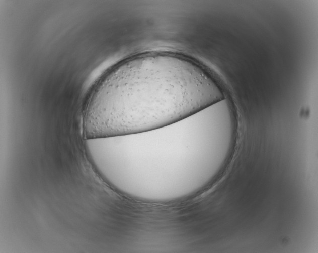 X0000112781317200908201404